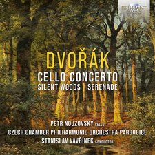 Serenade for Strings Opus 22 (2) artwork